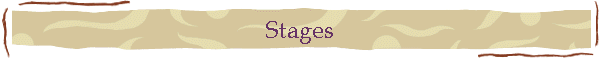 Stages